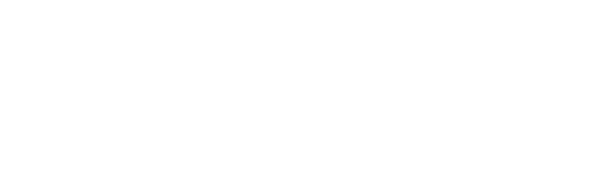 ジャワしょうがについて